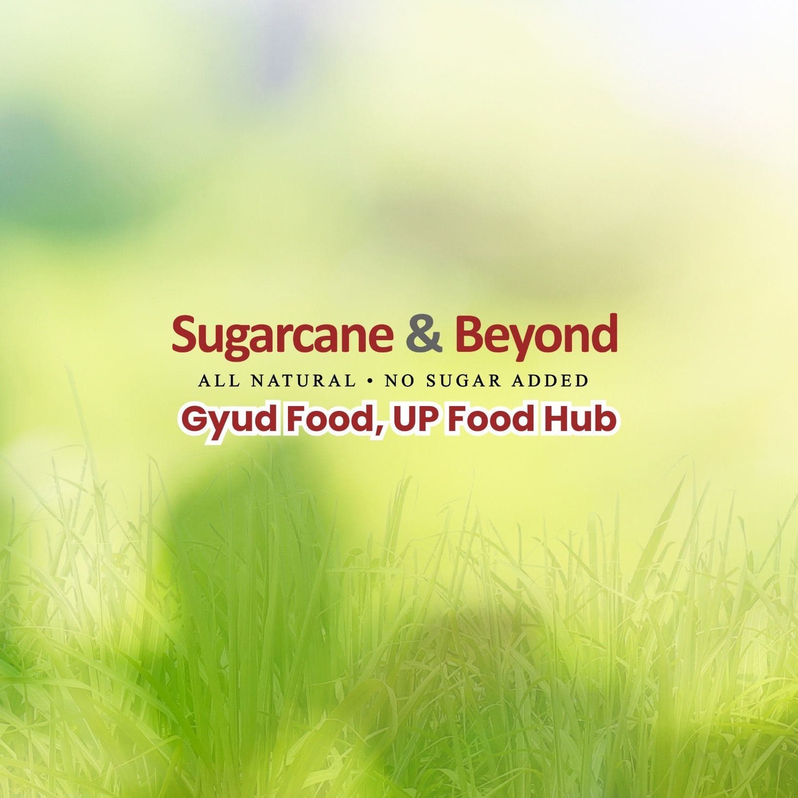 Sugarcane & Beyond logo